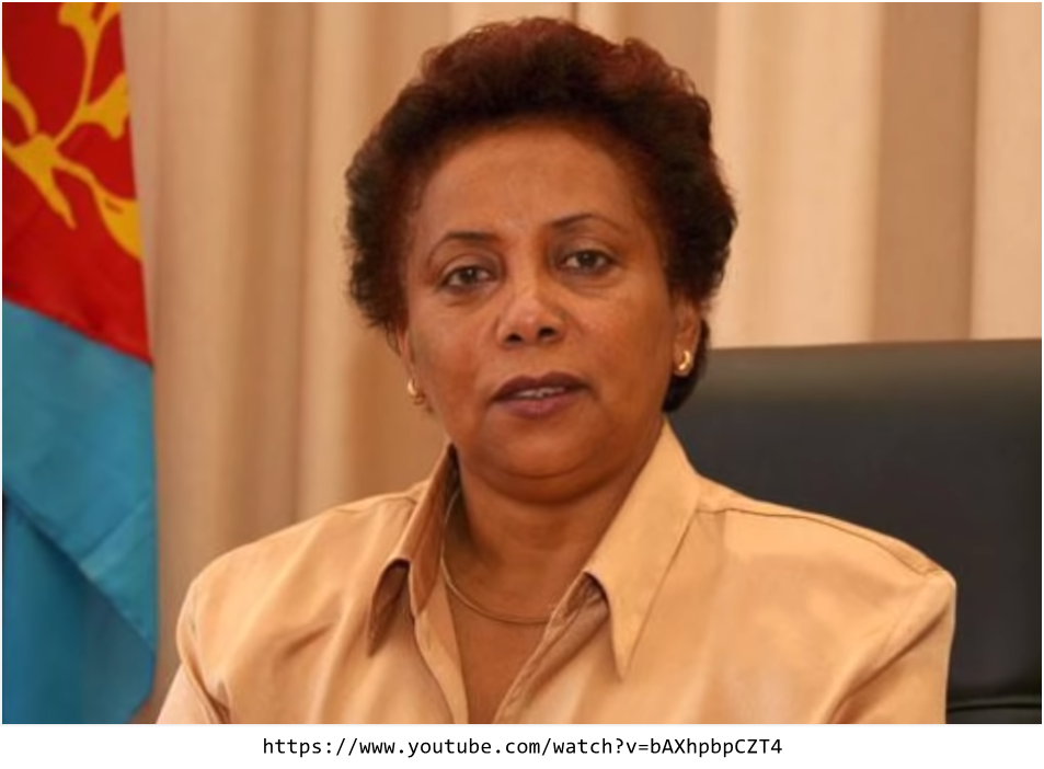 ወይዘሮ ፎዝያ ሃሽም፡ ሚንስተር ፍትሒ ዶ ወይስ ግፍዒ?