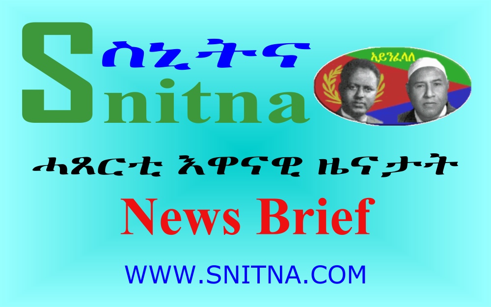 snitna - news brief