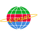 E-SMART Action Platform Insignia Badge
