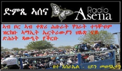 Bor Displacement Compound Field Report