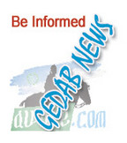 Gedab News Official Branding Asset