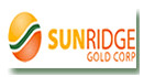 Sunridge Gold Corporate Infrastructure Asset