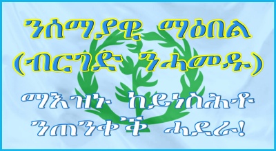 Brigade Nhamedu Strategic Guidance Header Dr Negassi Hadgu