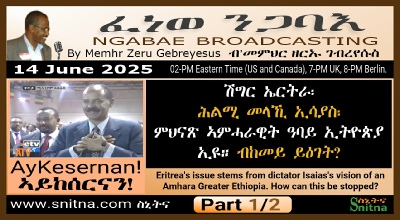 Ngabae Radio Amhara Greater Ethiopia Vision Analysis