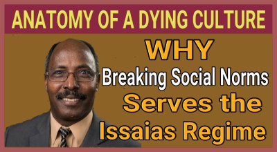 Social Norm Collapse and Regime Strategy Analysis Layout