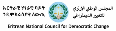 ENCDC Foreign Affairs Statement Branding Frame