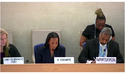 UN Human Rights Council Interactive Dialogue Frame