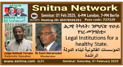 Constitutional Governance Lecture Seminar Slide