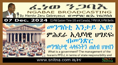 Ngabae Radio PFDJ Governance Discussion Frame