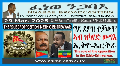 Opposition Parties Ethio-Eritrea Conflict Analysis Panel