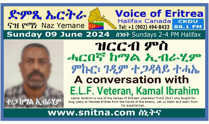 Voice of Eritrea Guest Kamal Ibrahim Display Frame