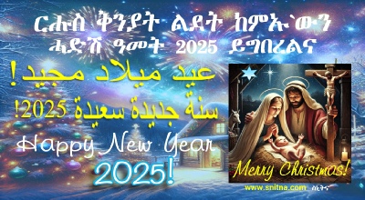 Merry Christmas and New Year 2025 Snitna Card Banner