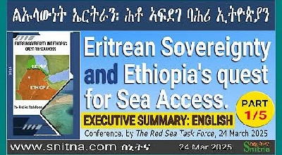 Red Sea Geopolitics and Sovereign Access Strategic Illustration
