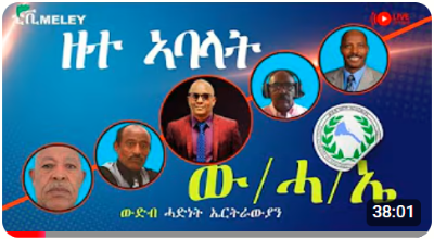 Organization of Eritrean Unity National Conference Board