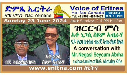 Voice of Eritrea Broadcast Guest Negasi Seyoum Abrha Frame