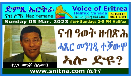 Voice of Eritrea Interview Guest Frame