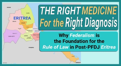 Constitutional Law Decentralization Alternatives Structural Paper Cover
