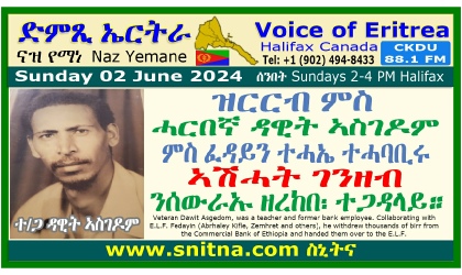 Voice of Eritrea Guest Dawit Asgedom Frame