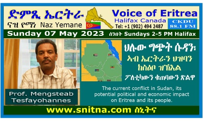 Voice of Eritrea Prof Mengsteab Interview Frame