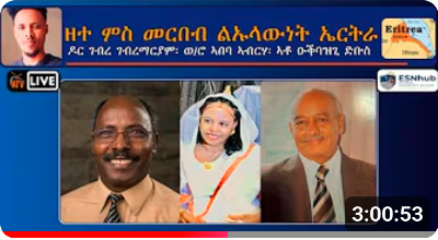 Eritrean Sovereignty Network Panel Interview Snapshot