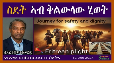 Exodus in Life Crisis Graphic Dr Tesfa Gebremedhin