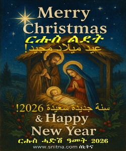 Christmas and New Year Seasonal Greeting Frame