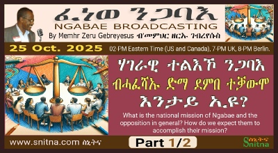 Ngabae Radio Strategic National Mission Evaluation Broadcast Frame