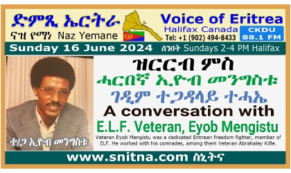 Voice of Eritrea Guest Eyob Mengistu Frame