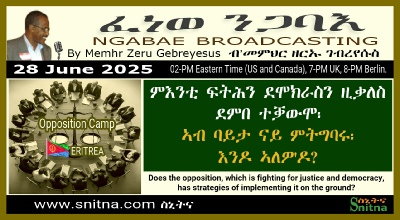 Ngabae Radio Opposition Strategies Broadcast